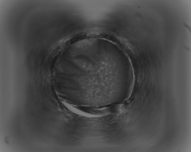 X0000093151445200710171340