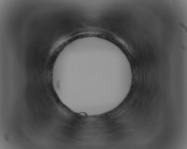 X0000093151448200710171340