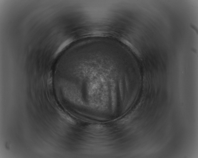 X0000093151450200710171340