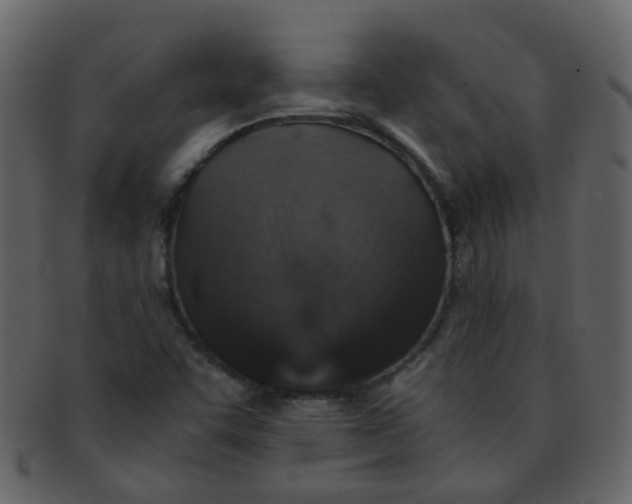 X0000093151455200710171340