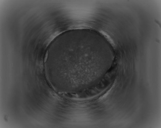 X0000093151457200710171340