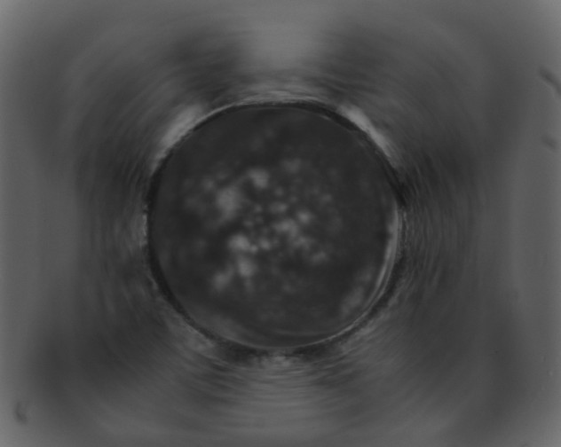 X0000093151459200710171340