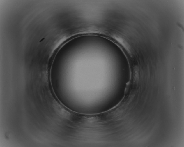 X0000093151460200710171340