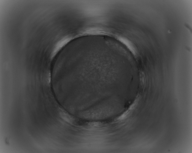 X0000093151461200710171340