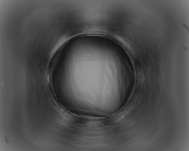 X0000093151462200710171340