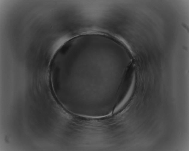 X0000093151463200710171340