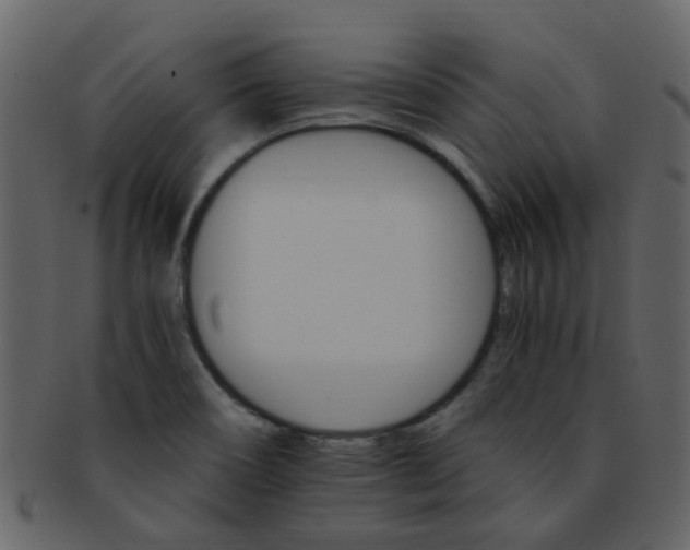 X0000093151466200710171340