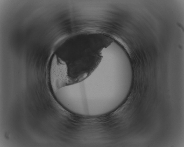 X0000093151467200710171340