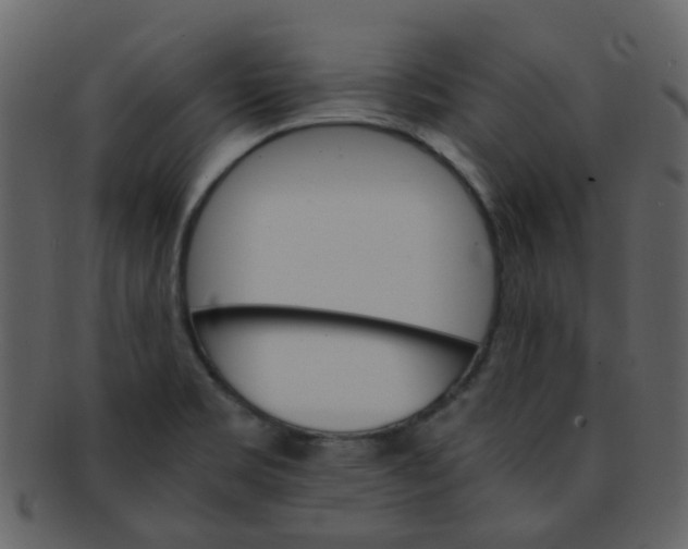 X0000093151469200710171340