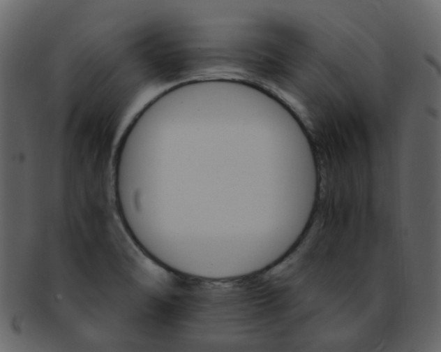 X0000093151470200710171340