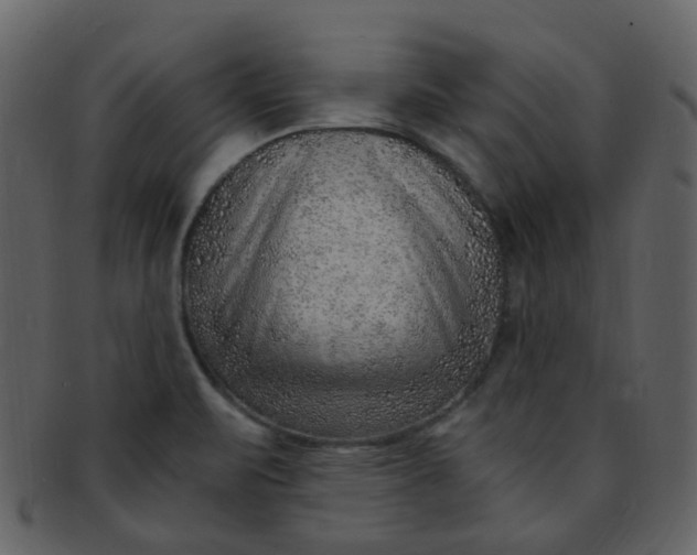 X0000093151471200710171340