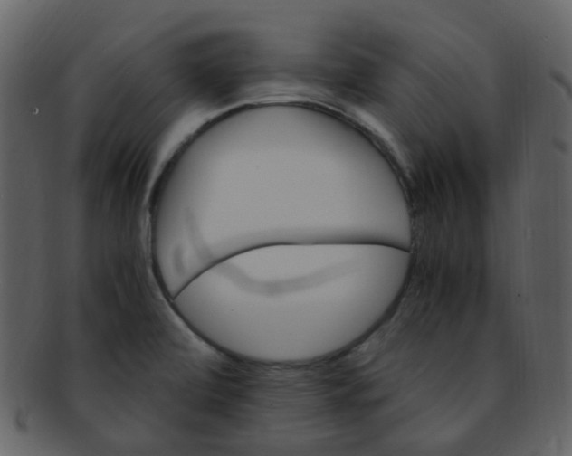 X0000093151472200710171340