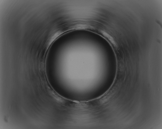 X0000093151473200710171340