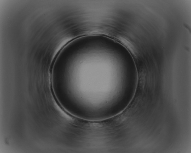 X0000093151476200710171340