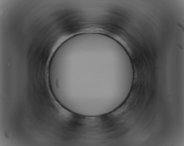 X0000093151478200710171340