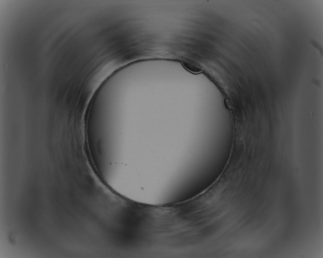 X0000093151479200710171340