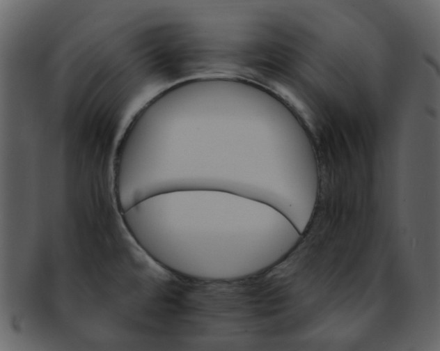 X0000093151480200710171340