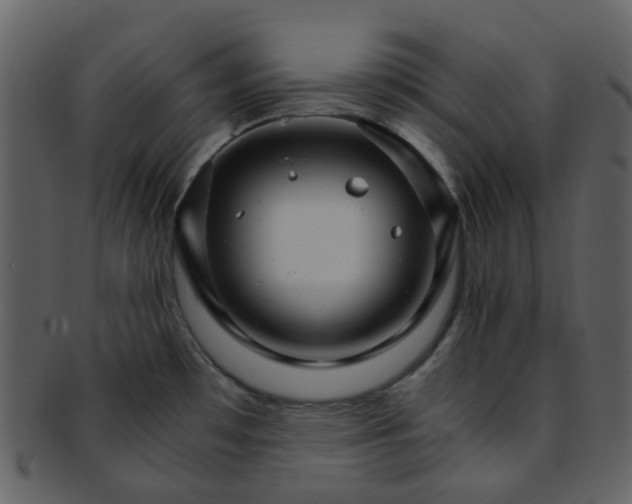 X0000093151481200710171340