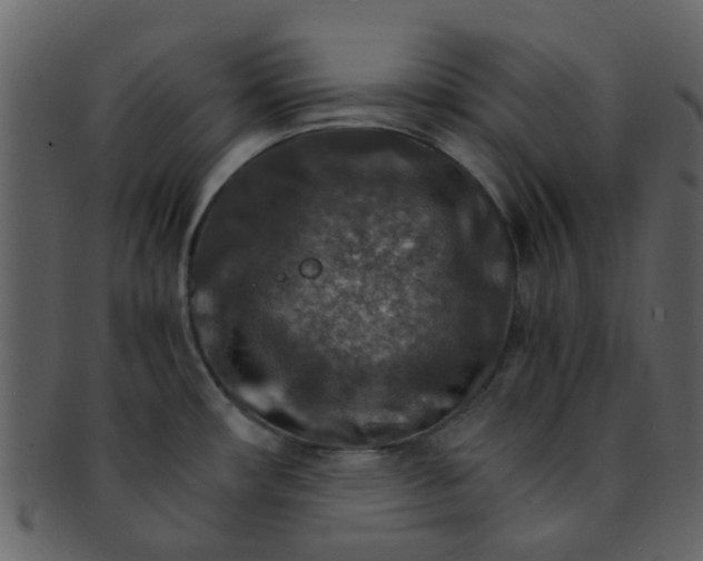 X0000093151482200710171340