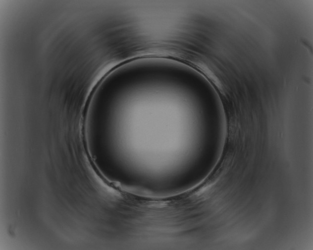 X0000093151484200710171340