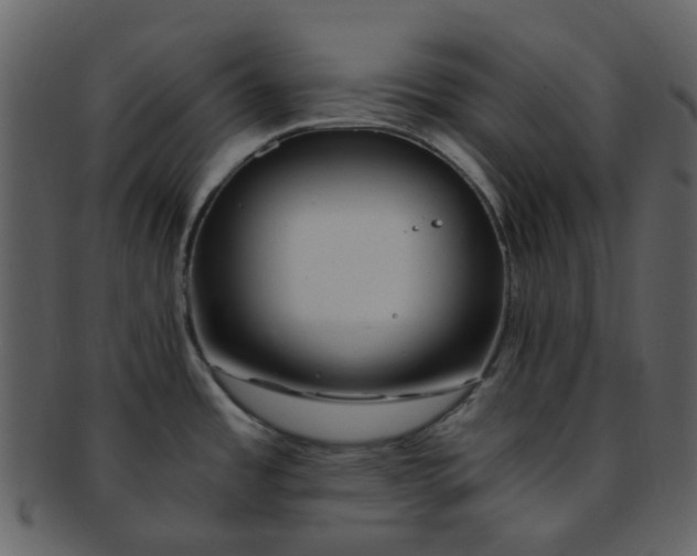 X0000093151485200710171340