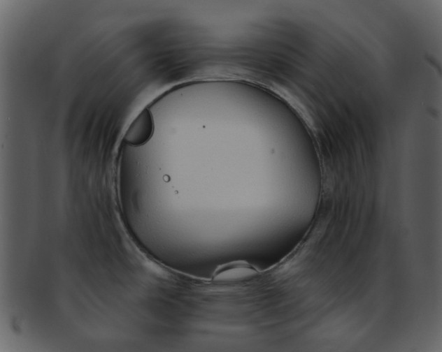 X0000093151486200710171340