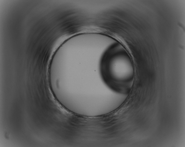 X0000093151488200710171340