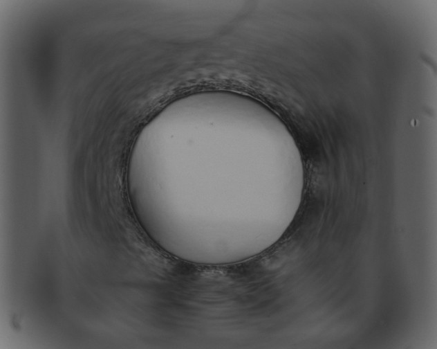 X0000093151489200710171339