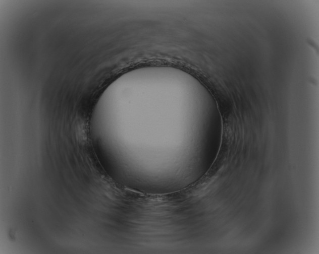 X0000093151490200710171339