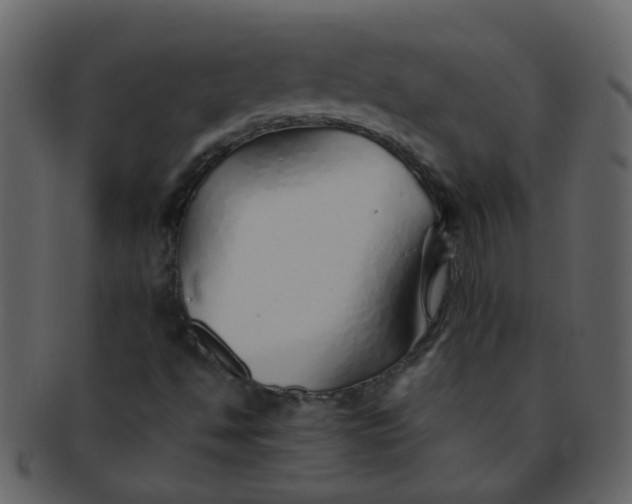 X0000093151494200710171339