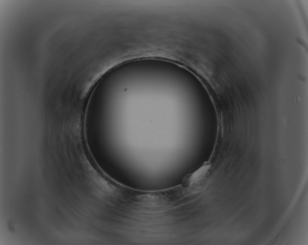 X0000093151500200710171339