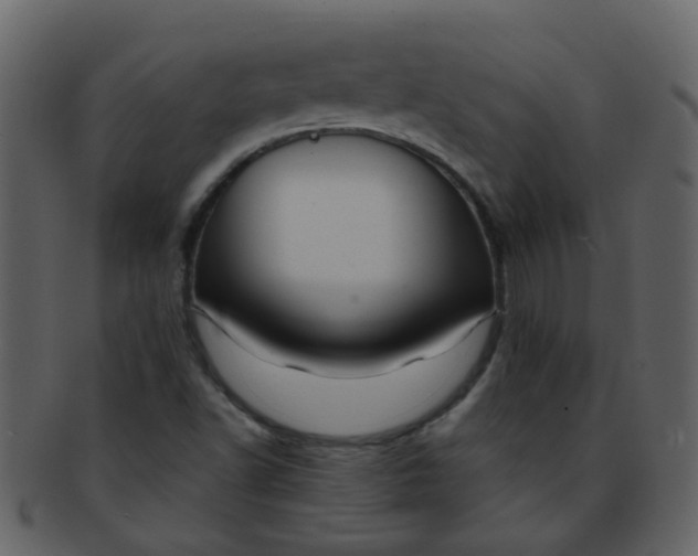 X0000093151502200710171339