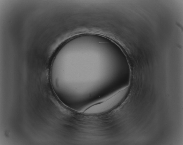 X0000093151503200710171339