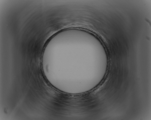 X0000093151505200710171339