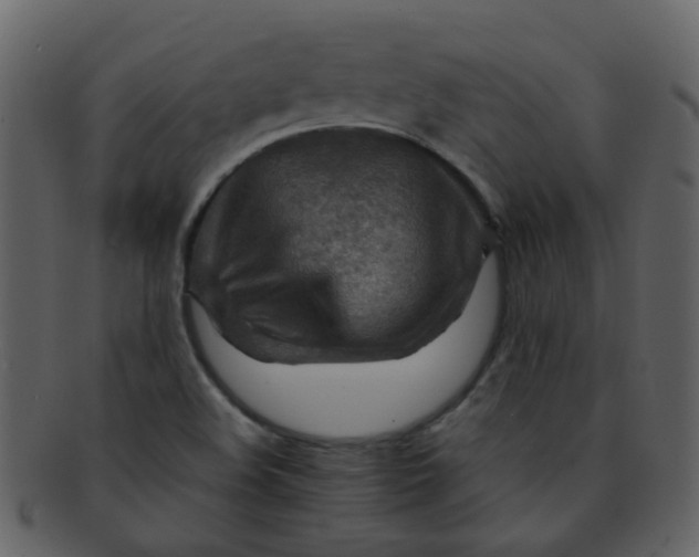 X0000093151508200710171339