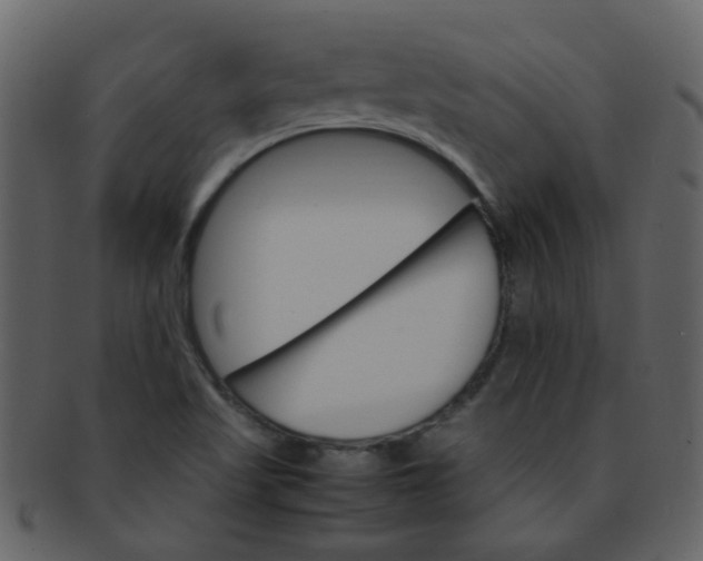 X0000093151509200710171339