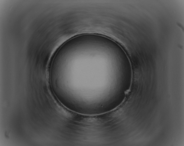 X0000093151517200710171339