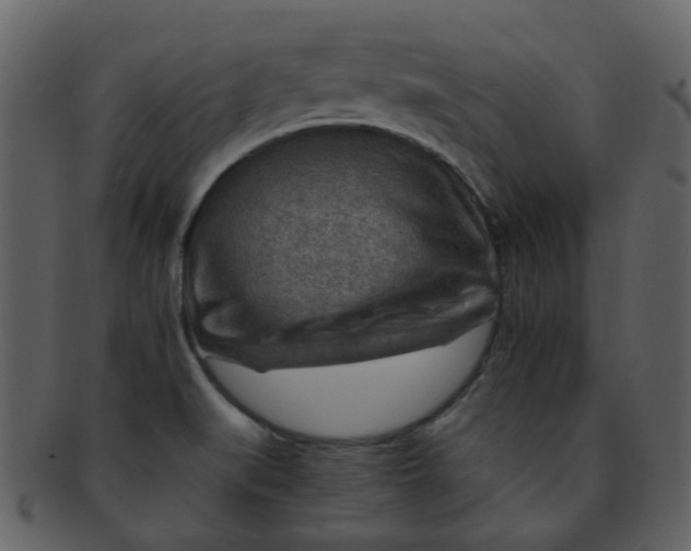 X0000093151519200710171339