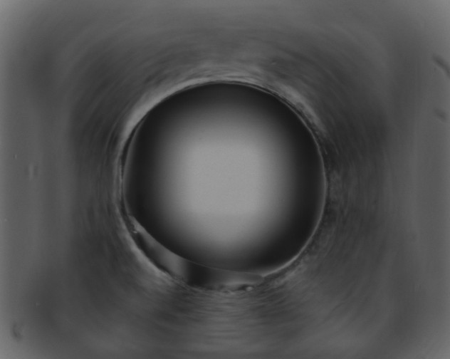 X0000093151520200710171339