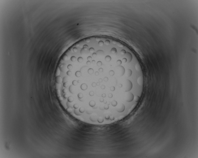 X0000093151521200710171339