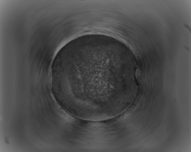 X0000093151522200710171339