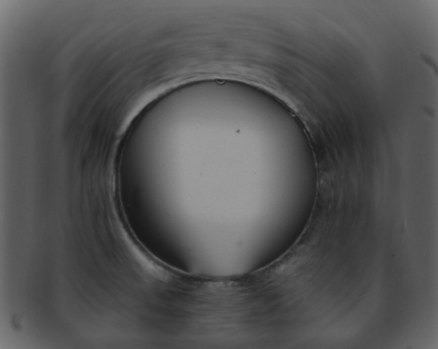 X0000093151523200710171339