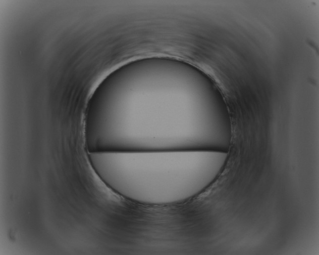 X0000093151524200710171339