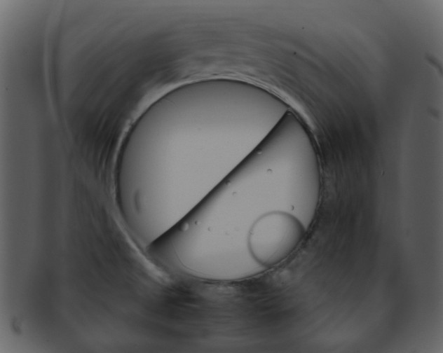 X0000093151525200710171339