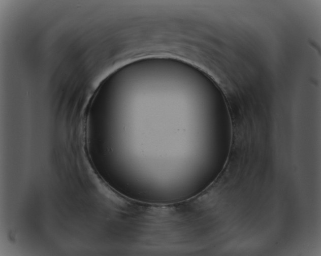 X0000093151526200710171339