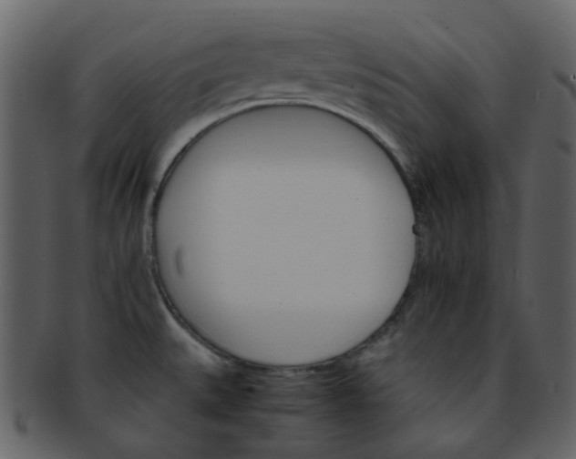 X0000093151527200710171339