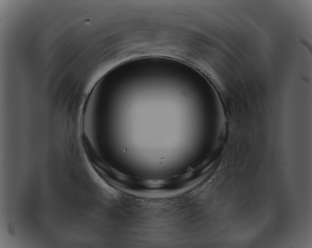 X0000093151528200710171340