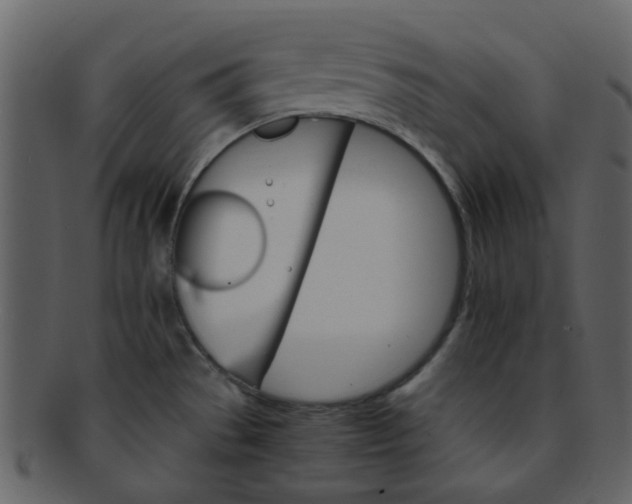 X0000093151529200710171340