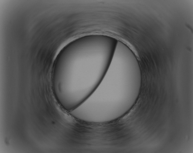 X0000093151530200710171340