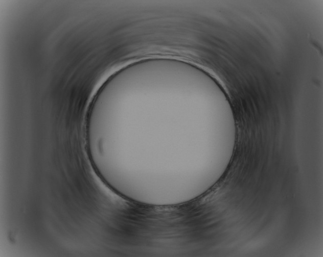 X0000093151531200710171340